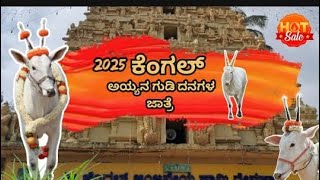 ❗ಕೆಂಗಲ್ ಅಯ್ಯನಗುಡಿ ಜಾತ್ರೆ 2025❗#festival #farming #farmer #hallikarcows