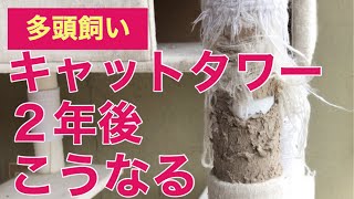 【メンテナンス】使い倒してボロボロのキャットタワーを修繕しました。