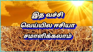 இத வச்சி வெய்யில ஈசியா சமாளிக்கலாம்  | வெட்டிவேரின் நன்மைகள் | Namathu unavu porullin magathuvam