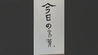 日本の電気工事士が日曜日に今日の格言してみたら　ぽくなりすぎてみた。#shorts