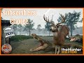 MISSISSIPPI - Diamond & Rare Hunting - theHunter: Call of the Wild