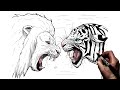 How To Draw Lion vs Tiger | Step By Step