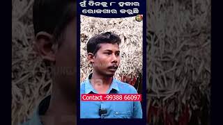 ମୁଁ ଦିନକୁ 8 ହଜାର ରୋଜଗାର କରୁଛି || Madhulika Enterpizes||