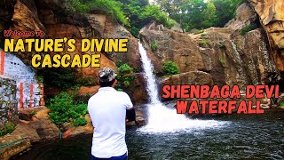 Shenbagadevi|tenkasi|TamilNadu|JuzGo