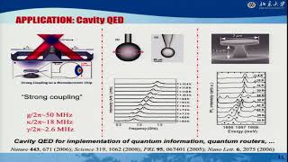 Yun Feng Xiao -  Spontaneous Symmetry Breaking in an Ultrahigh Q Microcavity( Day 4)