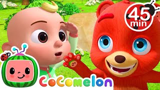 Peekaboo Song + More! | CoComelon Animal Time - Learning with Animals | Nursery Rhymes for Kids