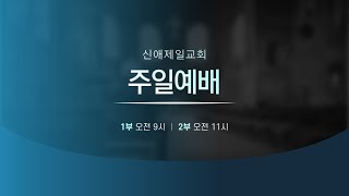 [실시간 영상예배] 1부 주일예배ㅣ신애제일교회ㅣ2025-02-23