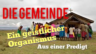 Die Gemeinde - ein geistlicher Organismus | Mit Pastor Andre