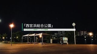 148.春の【西宮浜総合公園】西宮市 夜に海風を浴びてお散歩☆ 照明が有り難い芝生広場と海沿いの道★ 駐車場は夜9時まで