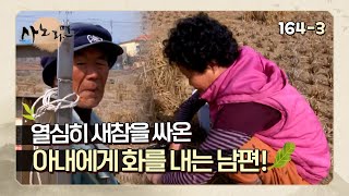 [사노라면] 164-3  열심히 새참을 싸온 아내에게 화를 내는 남편!