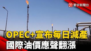 OPEC+宣布每日減產116萬桶 國際油價應聲漲｜#寰宇新聞 @globalnewstw