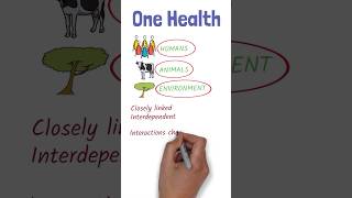 What is “One Health” 1️⃣👫🐄🌳