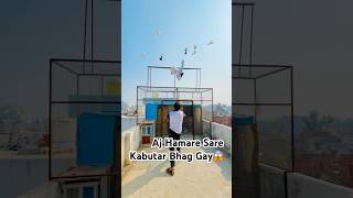 Aj Hamare Sare Kabutar Bhag Gay😱 #shorts #dailyvlog #minivlog #shortsfeed #pigeon #ytshorts