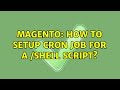 Magento: How to setup cron job for a /shell script?
