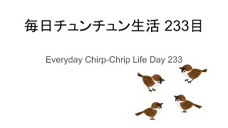 毎日チュンチュン生活233日目 / Everyday Chirp-Chrip Life Day 233