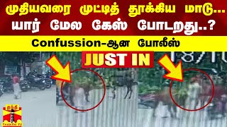 #JUSTIN || முதியவரை முட்டித் தூக்கிய மாடு... யார் மேல கேஸ் போடறது .. Confussion-ஆன  போலீஸ்