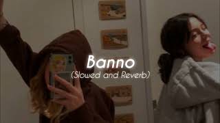 Banno | Tanu Weds Manu ( Slowed + Reverb ) ♬