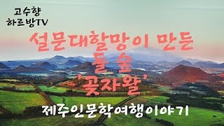 하르방TV 제4회 '설문대할망이 만든 돌 숲, 곶자왈'