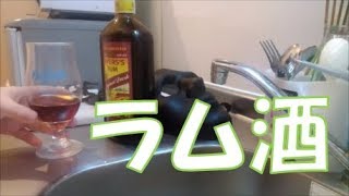 【お酒】初めてラム酒飲んでみた。【Rum】【ぷるへの助/puluhenosuke】