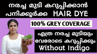 നീലമരി ഇല്ലാതെ തന്നെ മുടി കറുപ്പിക്കാം l നെല്ലിക്ക പനിക്കൂർക്ക ഹെയർ ഡൈ 💯 Effective l Chemical Free