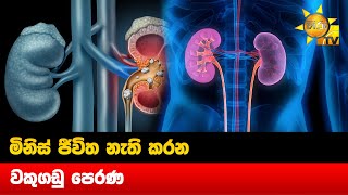 මිනිස් ජීවිත නැති කරන වකුගඩු පෙරණ - Hiru News