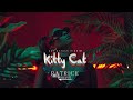 Patrice Roberts - Kitty Cat (Cat Attack Riddim) - Visualizer