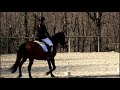 concours de dressage commenté avec nous