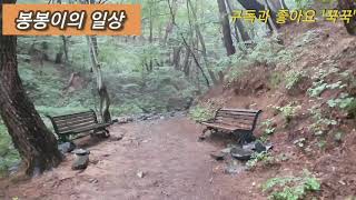 봉봉이의 일상-제주도 '오름'을 양산에서 경험하다