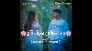 Tumi Chader Jochona Nou | তুমি চাঁদের জোছনা নও | হৃদয়ের আয়না | slowed reverb | Hridoyer Ayna lofi