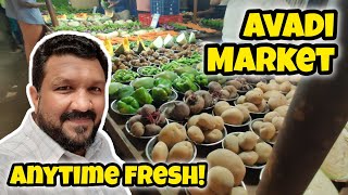 Avadi Market'la enna vaangalam?  காய்கறி முதல் கருவாடு வரை | எல்லாமே சூப்பரோ சூப்பர் #avadi