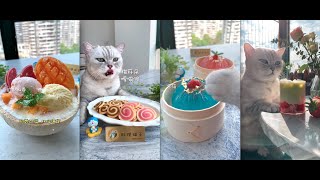 [Kitty Chef][料理猫王] Ice Cream in Coconut+Spiral Cookies+Jelly XiaoLongBao+Strawberry Green tea Milk