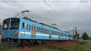 近江鉄道日記　805Ｆ･806Ｆ糠塚＆103Ｆ蛇溝（2024.10/7･8）巛巛