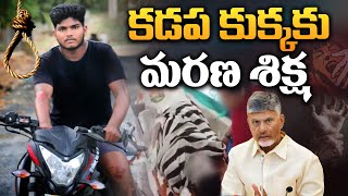 కడప కుక్కకు మరణ శిక్ష | Attack on Intermediate Student in Gopavaram | Kadapa News | Aadhan Live