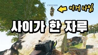 시청자 1000명이 보고 경악한 사이가 사용법🔥