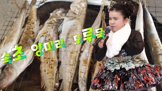 윤경아 놀자tv'  속초 #양미리축제#