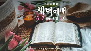 역곡동교회 24.06.07(금) 새벽예배