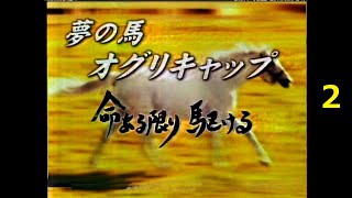 競馬：オグリキャップ（2）( 夢の馬オグリキャップ 命ある限り駆ける ) 感動のラストランまで