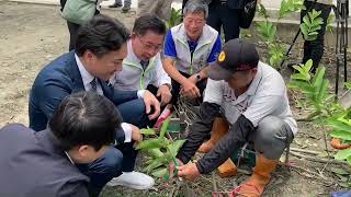 余市町參訪團觀摩彰化永靖鄉水果苗嫁接技術