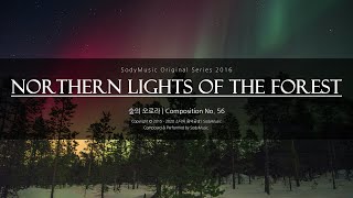 Northern Lights of the Forest(숲의 오로라) - 2016 Music by 랩소디[Rhapsodies]