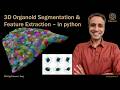 3D Organoid Segmentation and Feature Extraction - in python