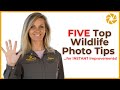 INSTANTLY IMPROVE Your Wildlife Photography!