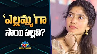 'ఎల్లమ్మ'గా సాయి పల్లవి ? | Sai Pallavi as Yellamma ? | Nithiin | 'Balagam' Venu || @NTVENT