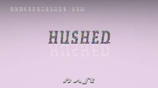 hushed - pronunciation + Examples in sentences and phrases