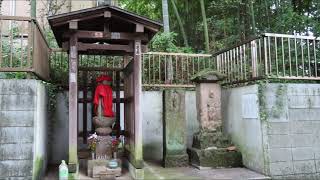 黒目川上流域を歩く