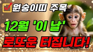 원숭이띠 주목! 2024년 12월 원숭이띠 운명이 바뀝니다! 로또 1등 당첨되는 원숭이띠를 위한 충격적인 운세 2024년 원숭이띠 운세 44년생 56년생 68년생 80년생 92년생