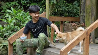 21-year-old Boy& Puppy to forest,alone build house,grow crops,make generators,Live happily 100 years