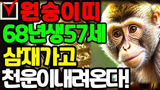 2024년 갑진년 68년생 57세 원숭이띠 월별운세 | 삼재끝나고 재물복이 터집니다! 고생끝 행복시작 #원숭이띠 #원숭이띠운세 #68년생 #57세#돈복#재물복#재물운