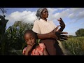 Postcard from Zimbabwe