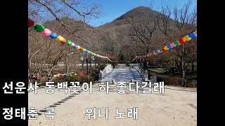 선운사 동백꽃이 하 좋다길래   정태춘 곡  워니 노래