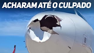 AVIÃO DA LATAM bate em pássaro e olha o CULPADO